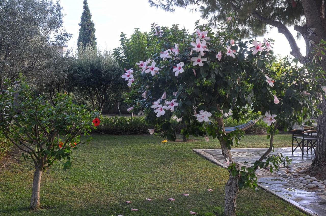 Messinian Blue Seaside Villa Kalamata Exteriér fotografie